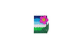 Flower Magnet As A Small Floral Decor Piece For Your Refrigerator